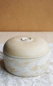 Lidded big container
